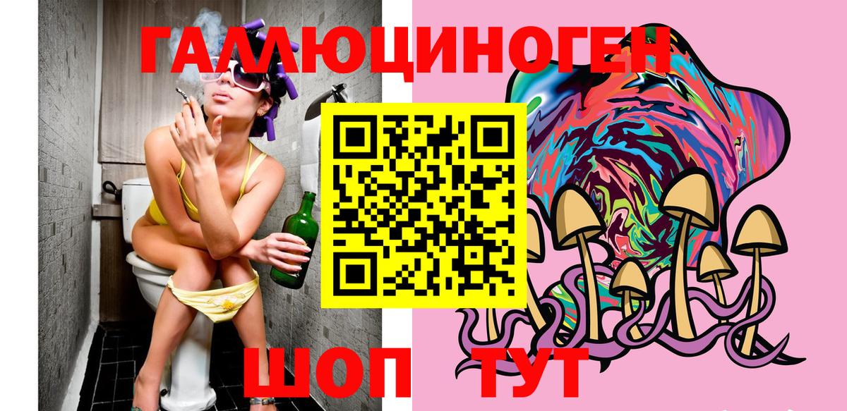 Камышлов  Галлюциногенные грибы мухоморы  Вход с VPN 