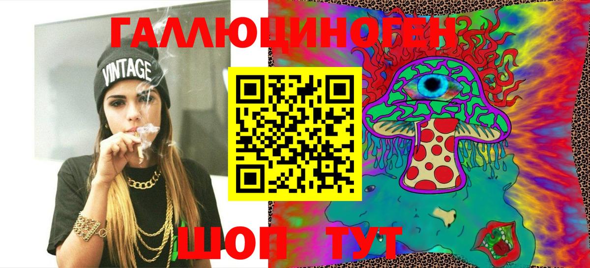 Псилоцибиновые грибы Cubensis Камышлов